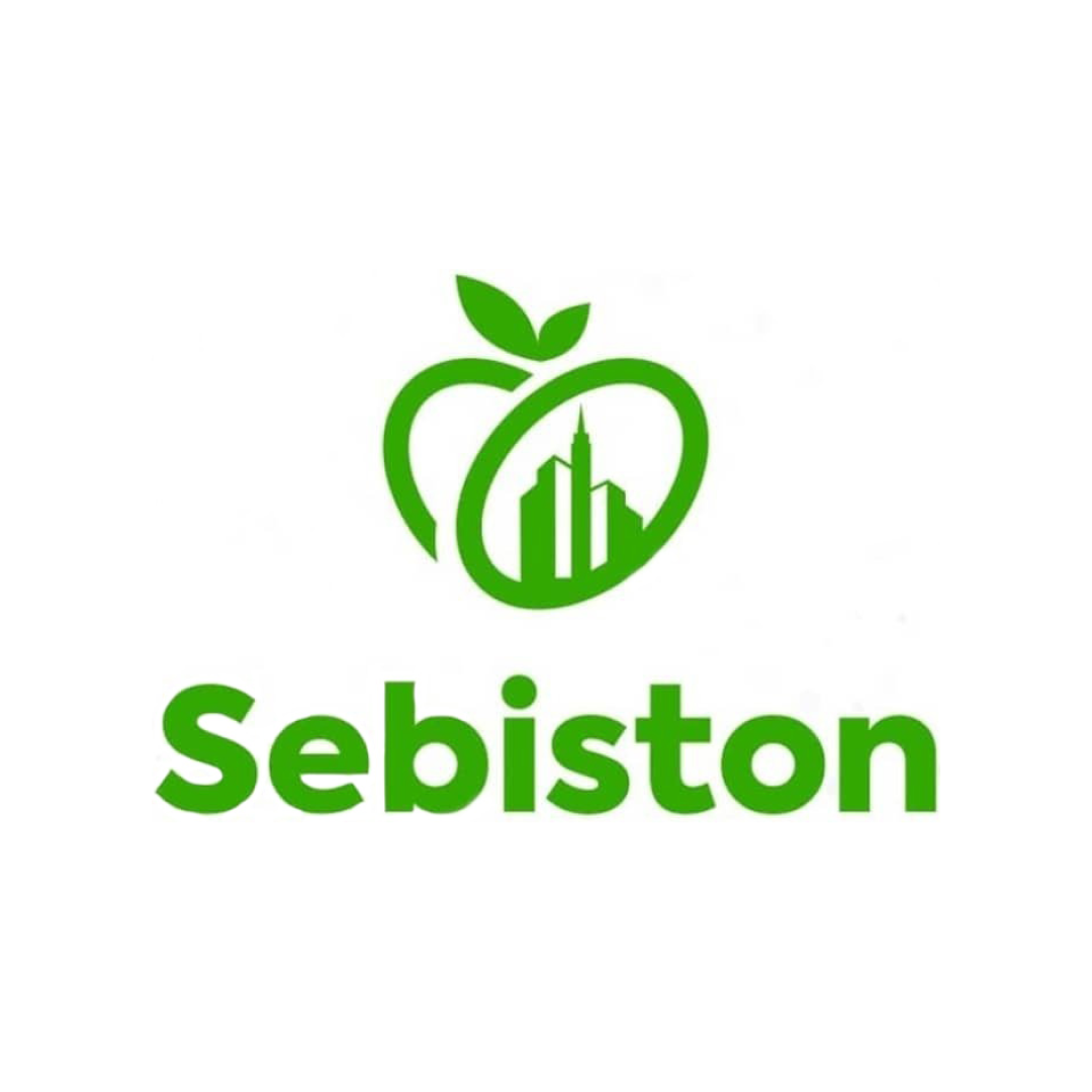 Developer Logo